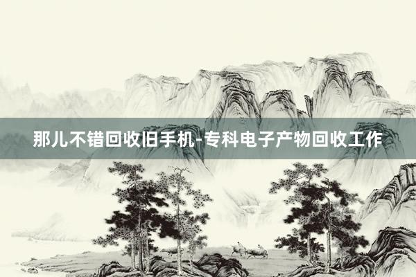 那儿不错回收旧手机-专科电子产物回收工作